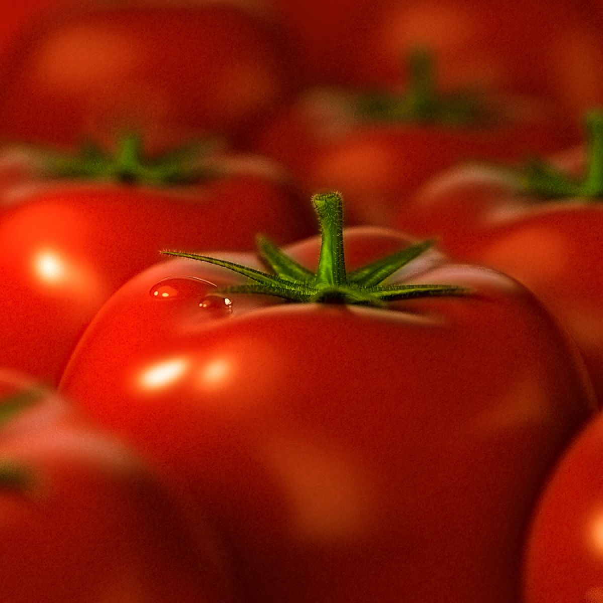 Ликопин в помидорах